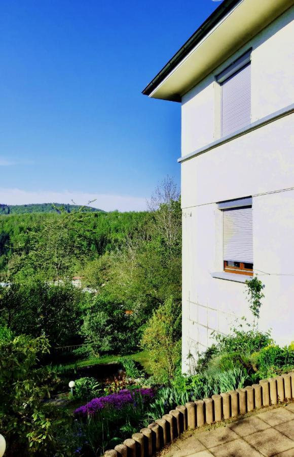 Ferienwohnung Albstadt Panorama מראה חיצוני תמונה
