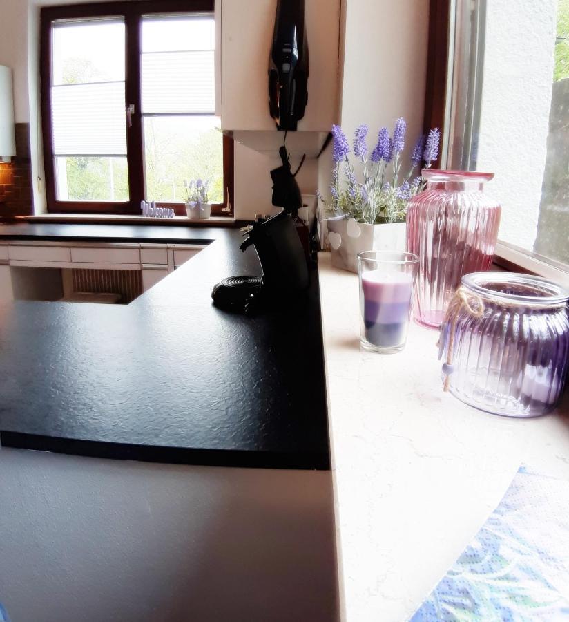 Ferienwohnung Albstadt Panorama מראה חיצוני תמונה