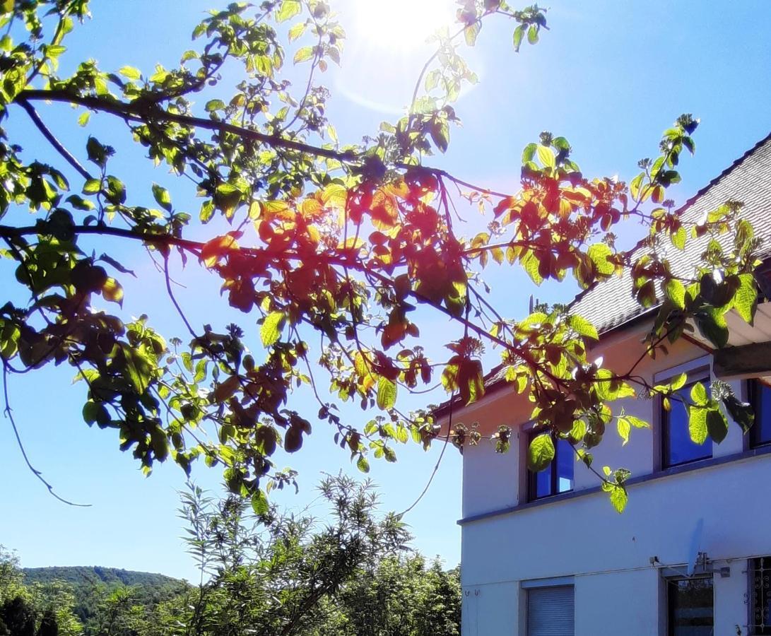 Ferienwohnung Albstadt Panorama מראה חיצוני תמונה